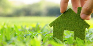 9 Steps to a More Eco-Conscious Home