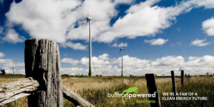Rootree soutient l’électricité verte avec Bullfrog Power®