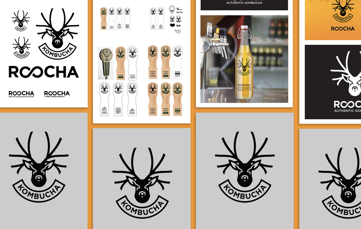 Roocha Logo Evolution