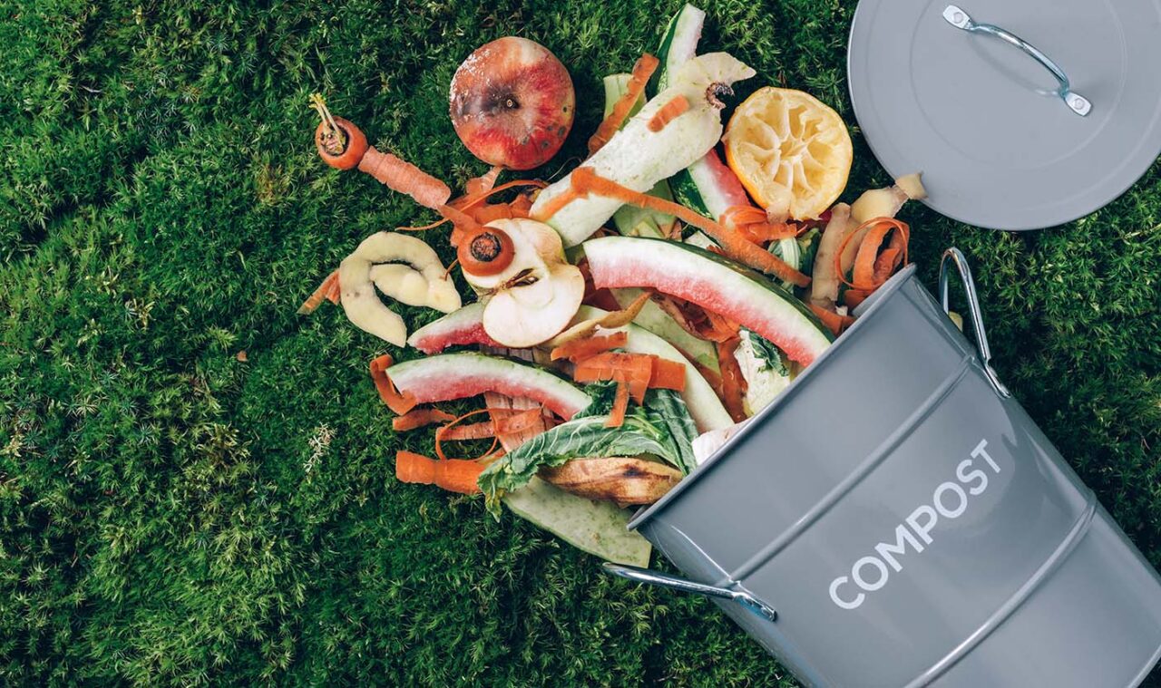 How to Compost Like a Pro | The Nest | Rootree