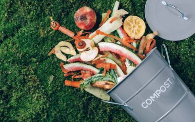 How to Compost Like a Pro