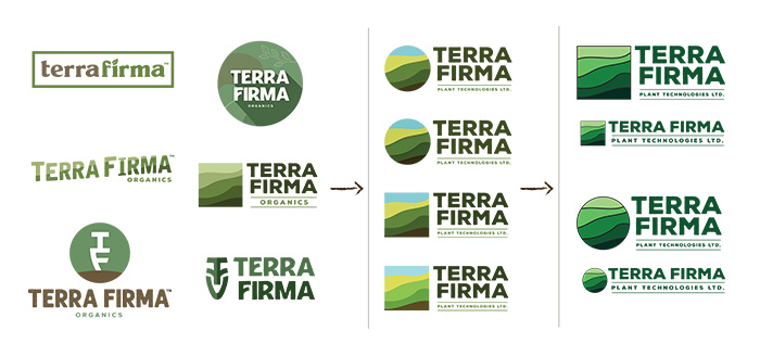Terrafirma Logo Concept