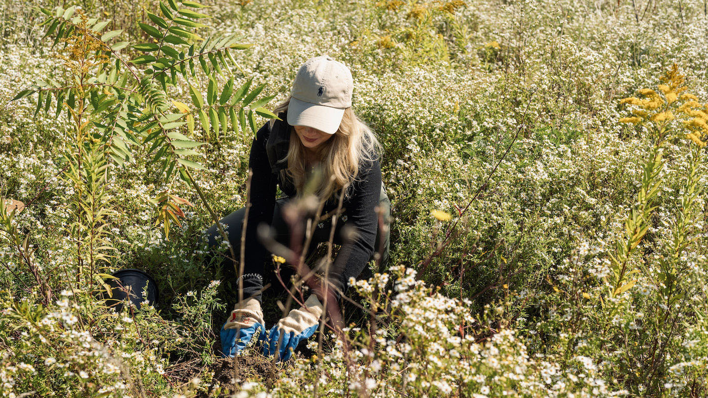 Tree Planting