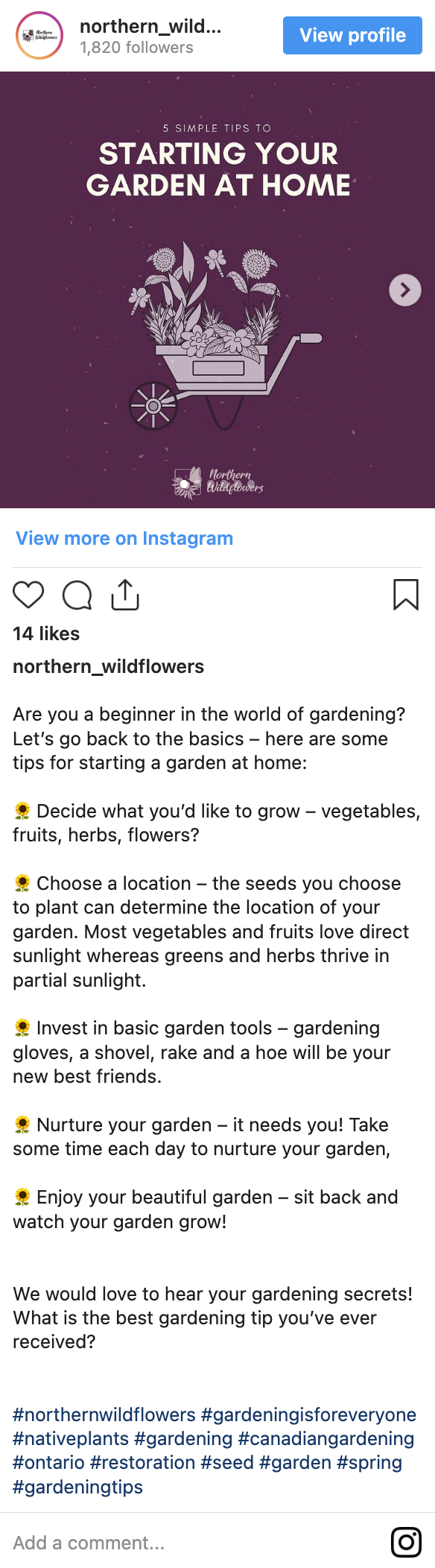 Starting a Garden at Home