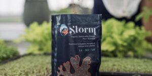 Rootree présente: Storm Plant Food